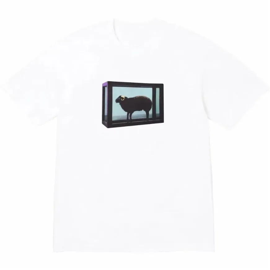 『S-3XL』ルーズフィット 韓国風 カジュアル プリント UVカット対応 ヴィンテージ風 Ｔシャツ